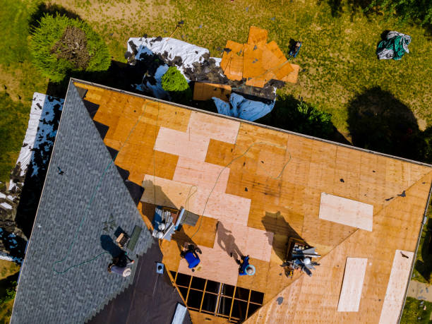 Best Emergency Roof Repair  in Pollock Pines, CA