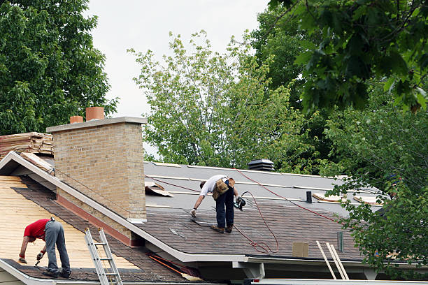 Best Roof Gutter Cleaning  in Pollock Pines, CA